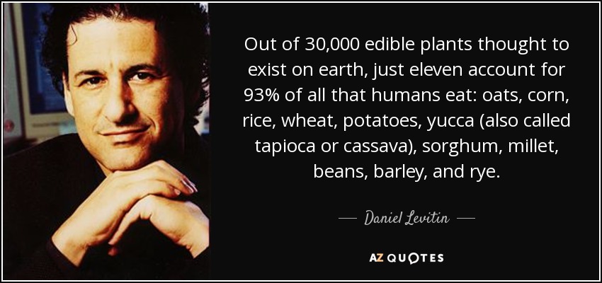 Out of 30,000 edible plants thought to exist on earth, just eleven account for 93% of all that humans eat: oats, corn, rice, wheat, potatoes, yucca (also called tapioca or cassava), sorghum, millet, beans, barley, and rye. - Daniel Levitin