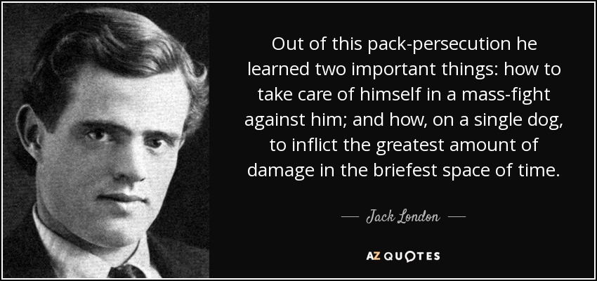 Out of this pack-persecution he learned two important things: how to take care of himself in a mass-fight against him; and how, on a single dog, to inflict the greatest amount of damage in the briefest space of time. - Jack London