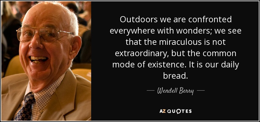 Outdoors we are confronted everywhere with wonders; we see that the miraculous is not extraordinary, but the common mode of existence. It is our daily bread. - Wendell Berry