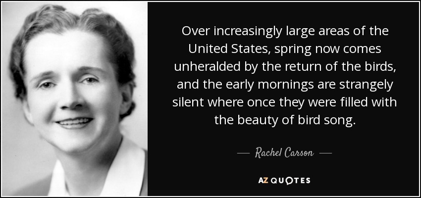 Over increasingly large areas of the United States, spring now comes unheralded by the return of the birds, and the early mornings are strangely silent where once they were filled with the beauty of bird song. - Rachel Carson