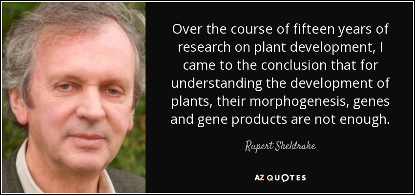 Over the course of fifteen years of research on plant development, I came to the conclusion that for understanding the development of plants, their morphogenesis, genes and gene products are not enough. - Rupert Sheldrake