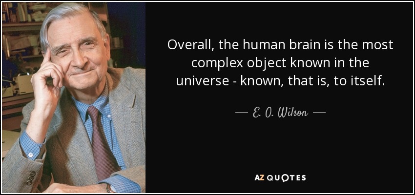 Overall, the human brain is the most complex object known in the universe - known, that is, to itself. - E. O. Wilson
