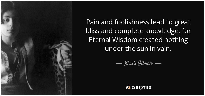 Pain and foolishness lead to great bliss and complete knowledge, for Eternal Wisdom created nothing under the sun in vain. - Khalil Gibran