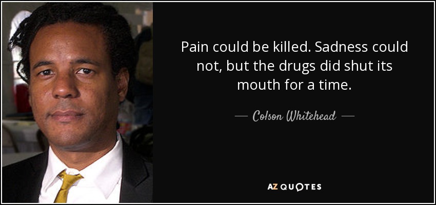 Pain could be killed. Sadness could not, but the drugs did shut its mouth for a time. - Colson Whitehead