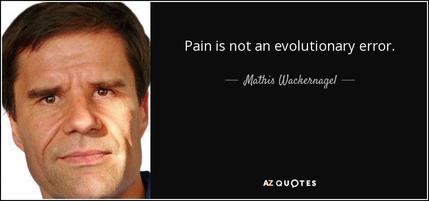Pain is not an evolutionary error. - Mathis Wackernagel
