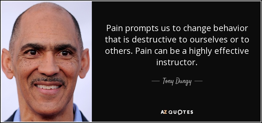 Pain prompts us to change behavior that is destructive to ourselves or to others. Pain can be a highly effective instructor. - Tony Dungy