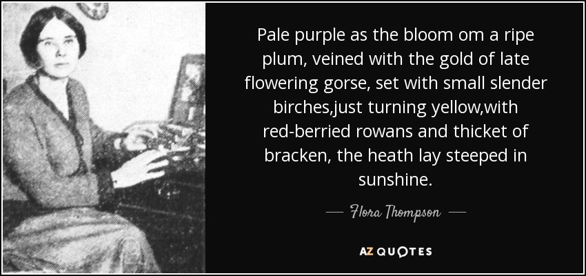 Pale purple as the bloom om a ripe plum, veined with the gold of late flowering gorse, set with small slender birches,just turning yellow,with red-berried rowans and thicket of bracken, the heath lay steeped in sunshine. - Flora Thompson