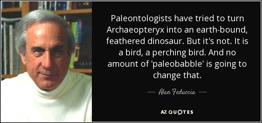 Paleontologists have tried to turn Archaeopteryx into an earth-bound, feathered dinosaur. But it's not. It is a bird, a perching bird. And no amount of 'paleobabble' is going to change that. - Alan Feduccia