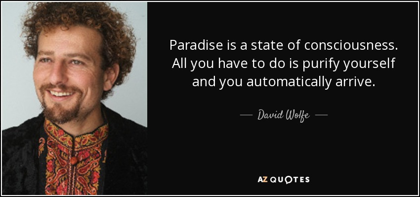 Paradise is a state of consciousness. All you have to do is purify yourself and you automatically arrive. - David Wolfe
