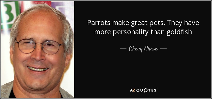 Parrots make great pets. They have more personality than goldfish - Chevy Chase