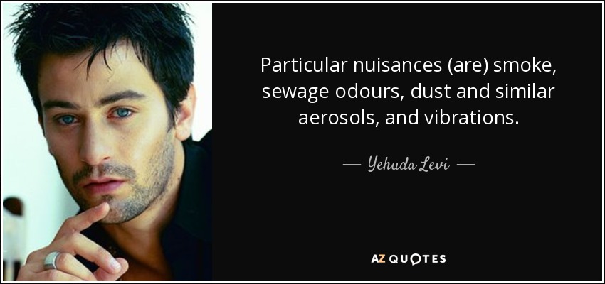 Particular nuisances (are) smoke, sewage odours, dust and similar aerosols, and vibrations. - Yehuda Levi