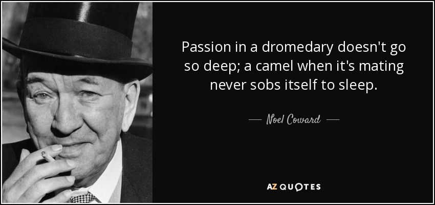 Passion in a dromedary doesn't go so deep; a camel when it's mating never sobs itself to sleep. - Noel Coward