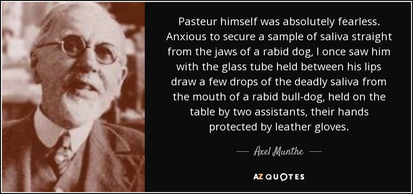 Pasteur himself was absolutely fearless. Anxious to secure a sample of saliva straight from the jaws of a rabid dog, I once saw him with the glass tube held between his lips draw a few drops of the deadly saliva from the mouth of a rabid bull-dog, held on the table by two assistants, their hands protected by leather gloves. - Axel Munthe