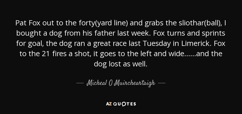 Pat Fox out to the forty(yard line) and grabs the sliothar(ball), I bought a dog from his father last week. Fox turns and sprints for goal, the dog ran a great race last Tuesday in Limerick. Fox to the 21 fires a shot, it goes to the left and wide......and the dog lost as well. - Micheal O Muircheartaigh