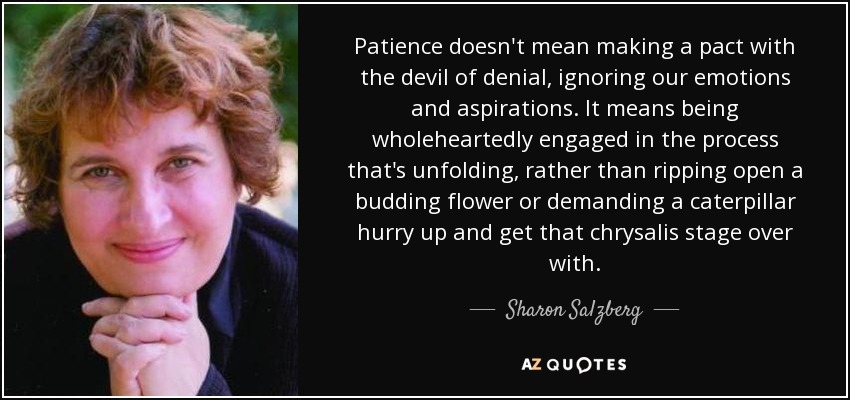 Patience doesn't mean making a pact with the devil of denial, ignoring our emotions and aspirations. It means being wholeheartedly engaged in the process that's unfolding, rather than ripping open a budding flower or demanding a caterpillar hurry up and get that chrysalis stage over with. - Sharon Salzberg
