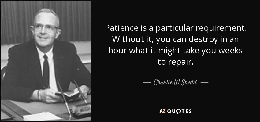 Patience is a particular requirement. Without it, you can destroy in an hour what it might take you weeks to repair. - Charlie W Shedd