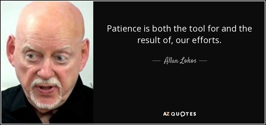 Patience is both the tool for and the result of, our efforts. - Allan Lokos