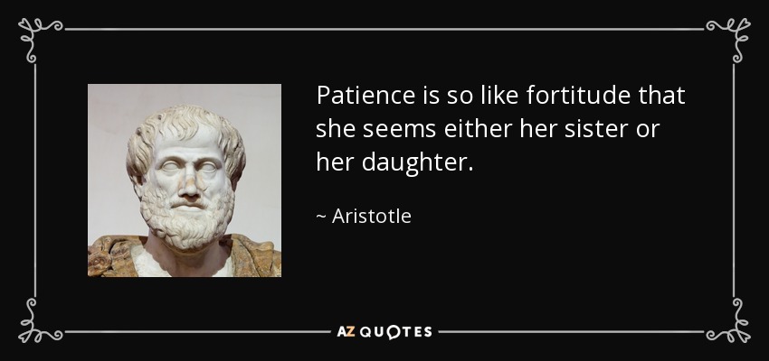 Patience is so like fortitude that she seems either her sister or her daughter. - Aristotle