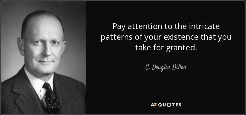Pay attention to the intricate patterns of your existence that you take for granted. - C. Douglas Dillon
