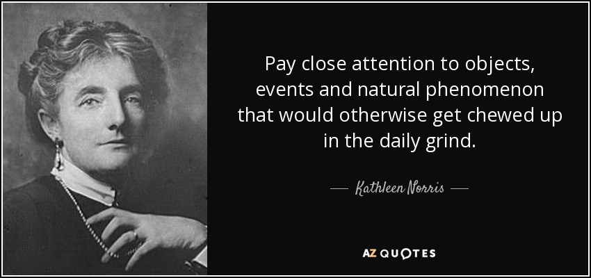 Pay close attention to objects, events and natural phenomenon that would otherwise get chewed up in the daily grind. - Kathleen Norris