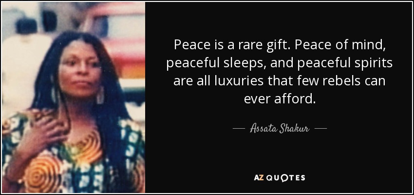 Peace is a rare gift. Peace of mind, peaceful sleeps, and peaceful spirits are all luxuries that few rebels can ever afford. - Assata Shakur