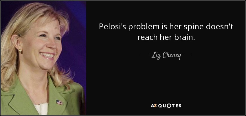 Pelosi's problem is her spine doesn't reach her brain. - Liz Cheney
