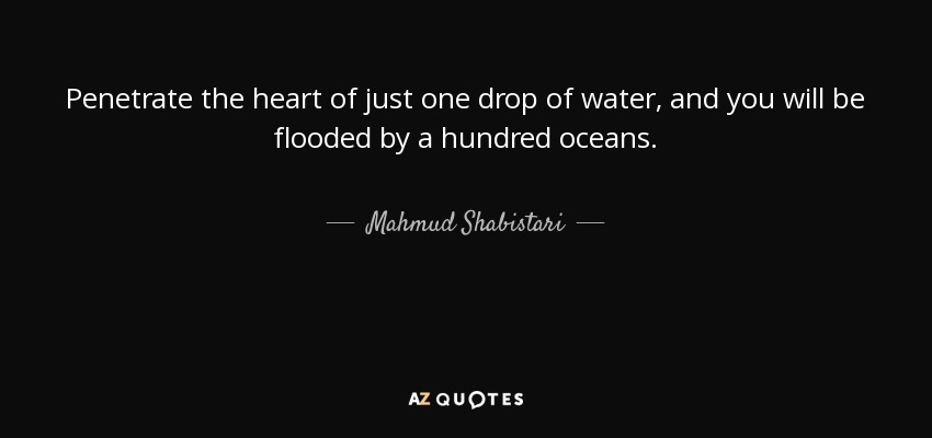 Penetrate the heart of just one drop of water, and you will be flooded by a hundred oceans. - Mahmud Shabistari