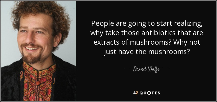 People are going to start realizing, why take those antibiotics that are extracts of mushrooms? Why not just have the mushrooms? - David Wolfe