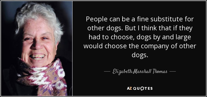 People can be a fine substitute for other dogs. But I think that if they had to choose, dogs by and large would choose the company of other dogs. - Elizabeth Marshall Thomas