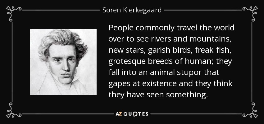 People commonly travel the world over to see rivers and mountains, new stars, garish birds, freak fish, grotesque breeds of human; they fall into an animal stupor that gapes at existence and they think they have seen something. - Soren Kierkegaard