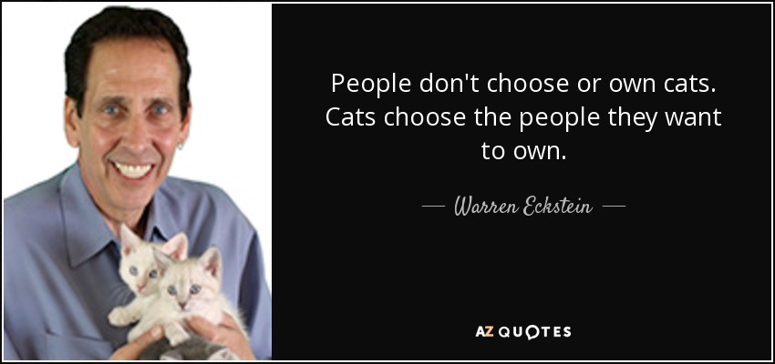 People don't choose or own cats. Cats choose the people they want to own. - Warren Eckstein
