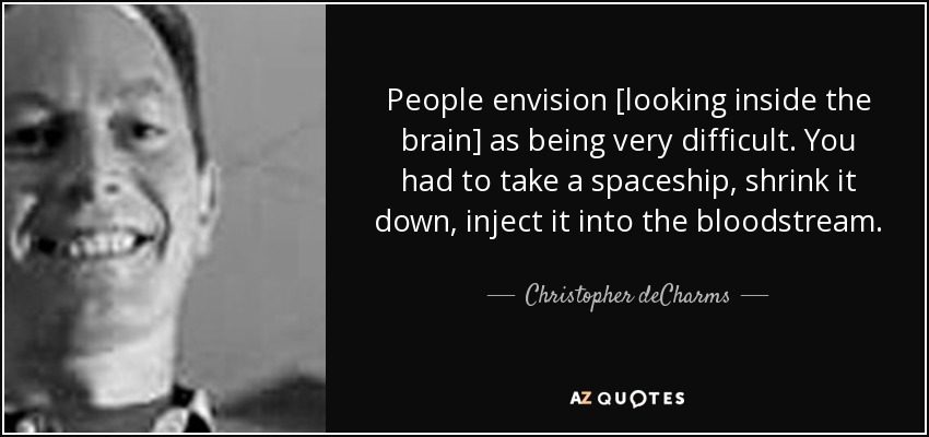 People envision [looking inside the brain] as being very difficult. You had to take a spaceship, shrink it down, inject it into the bloodstream. - Christopher deCharms