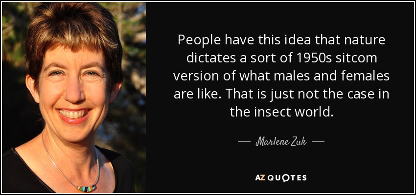 People have this idea that nature dictates a sort of 1950s sitcom version of what males and females are like. That is just not the case in the insect world. - Marlene Zuk