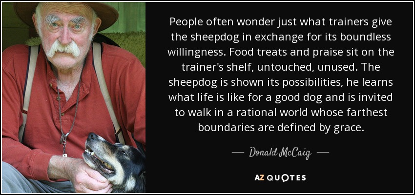 People often wonder just what trainers give the sheepdog in exchange for its boundless willingness. Food treats and praise sit on the trainer's shelf, untouched, unused. The sheepdog is shown its possibilities, he learns what life is like for a good dog and is invited to walk in a rational world whose farthest boundaries are defined by grace. - Donald McCaig