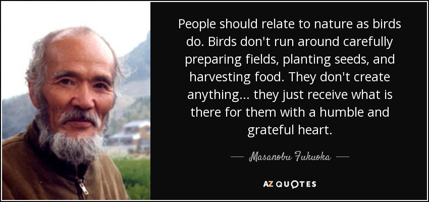 People should relate to nature as birds do. Birds don't run around carefully preparing fields, planting seeds, and harvesting food. They don't create anything . . . they just receive what is there for them with a humble and grateful heart. - Masanobu Fukuoka