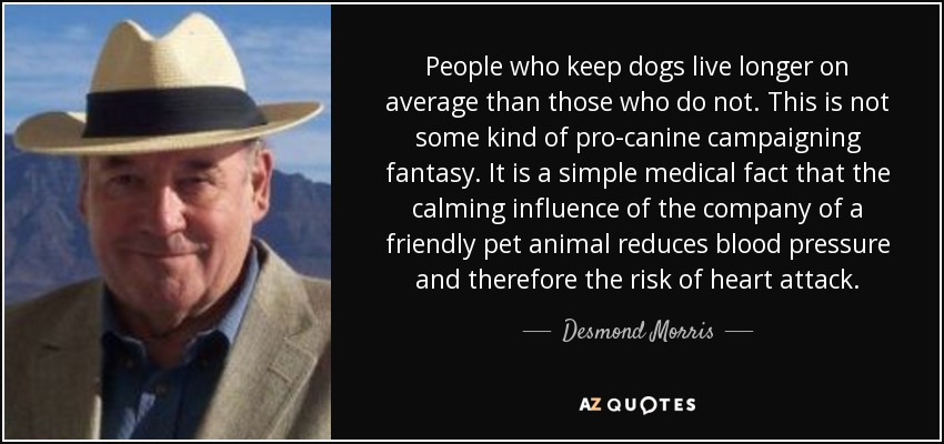 People who keep dogs live longer on average than those who do not. This is not some kind of pro-canine campaigning fantasy. It is a simple medical fact that the calming influence of the company of a friendly pet animal reduces blood pressure and therefore the risk of heart attack. - Desmond Morris