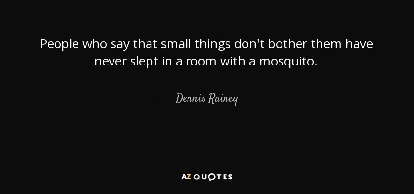 People who say that small things don't bother them have never slept in a room with a mosquito. - Dennis Rainey