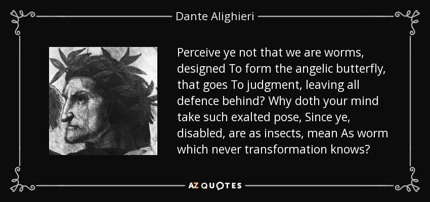 Perceive ye not that we are worms, designed To form the angelic butterfly, that goes To judgment, leaving all defence behind? Why doth your mind take such exalted pose, Since ye, disabled, are as insects, mean As worm which never transformation knows? - Dante Alighieri