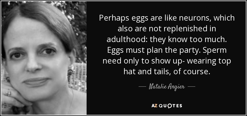 Perhaps eggs are like neurons, which also are not replenished in adulthood: they know too much. Eggs must plan the party. Sperm need only to show up- wearing top hat and tails, of course. - Natalie Angier