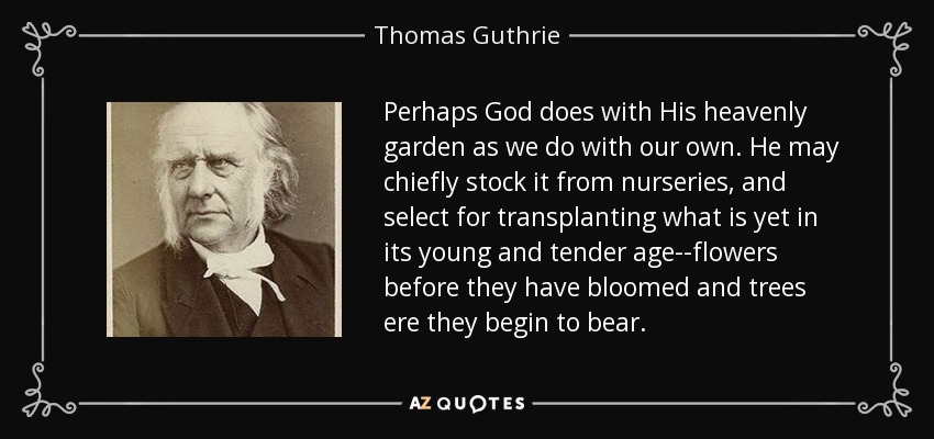 Perhaps God does with His heavenly garden as we do with our own. He may chiefly stock it from nurseries, and select for transplanting what is yet in its young and tender age--flowers before they have bloomed and trees ere they begin to bear. - Thomas Guthrie
