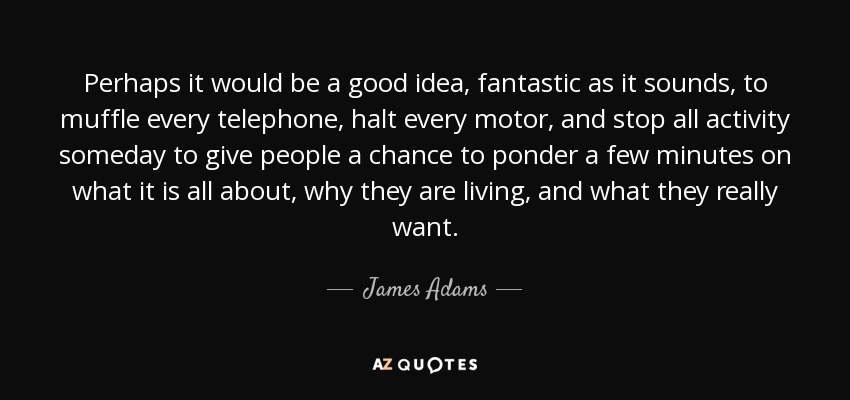 Perhaps it would be a good idea, fantastic as it sounds, to muffle every telephone, halt every motor, and stop all activity someday to give people a chance to ponder a few minutes on what it is all about, why they are living, and what they really want. - James Adams