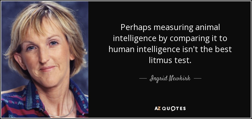 Perhaps measuring animal intelligence by comparing it to human intelligence isn't the best litmus test. - Ingrid Newkirk