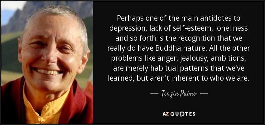 Perhaps one of the main antidotes to depression, lack of self-esteem, loneliness and so forth is the recognition that we really do have Buddha nature. All the other problems like anger, jealousy, ambitions, are merely habitual patterns that we've learned, but aren't inherent to who we are. - Tenzin Palmo