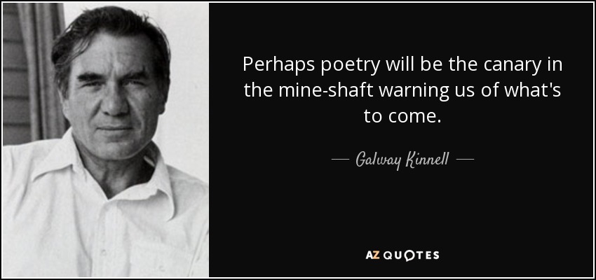 Perhaps poetry will be the canary in the mine-shaft warning us of what's to come. - Galway Kinnell