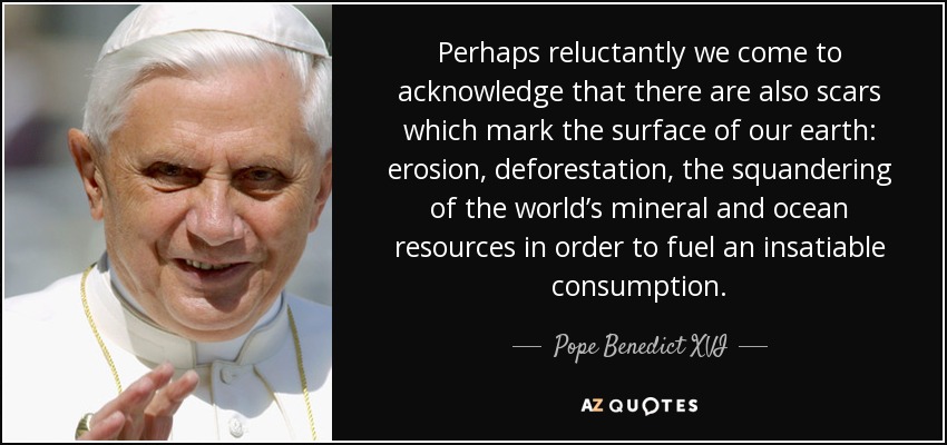 Perhaps reluctantly we come to acknowledge that there are also scars which mark the surface of our earth: erosion, deforestation, the squandering of the world’s mineral and ocean resources in order to fuel an insatiable consumption. - Pope Benedict XVI