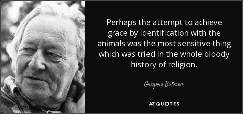 Perhaps the attempt to achieve grace by identification with the animals was the most sensitive thing which was tried in the whole bloody history of religion . - Gregory Bateson
