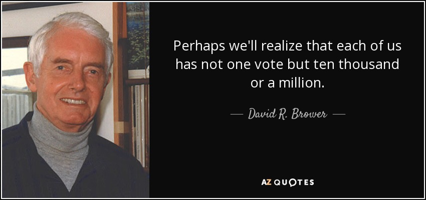 Perhaps we'll realize that each of us has not one vote but ten thousand or a million. - David R. Brower
