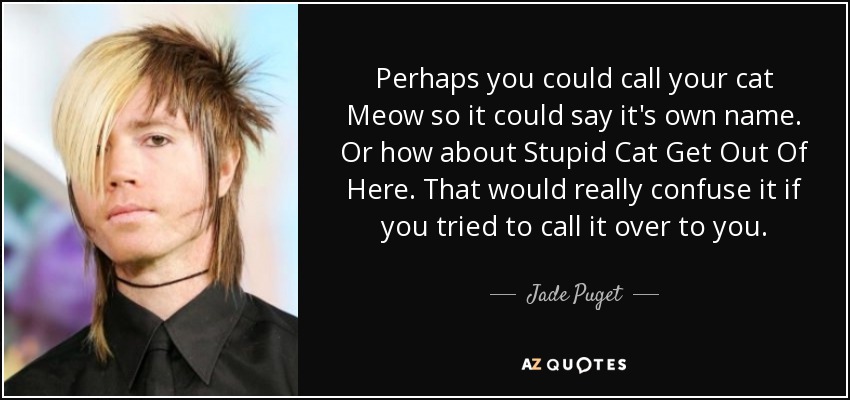 Perhaps you could call your cat Meow so it could say it's own name. Or how about Stupid Cat Get Out Of Here. That would really confuse it if you tried to call it over to you. - Jade Puget