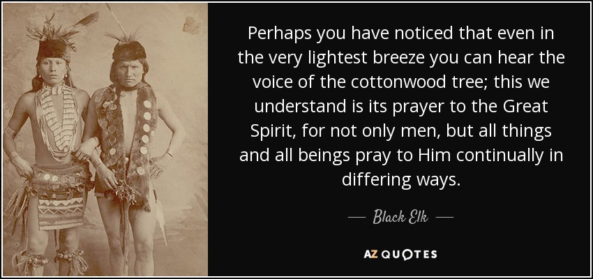 Perhaps you have noticed that even in the very lightest breeze you can hear the voice of the cottonwood tree; this we understand is its prayer to the Great Spirit, for not only men, but all things and all beings pray to Him continually in differing ways. - Black Elk
