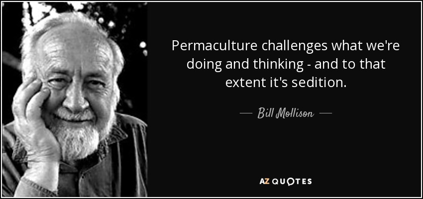 Permaculture challenges what we're doing and thinking - and to that extent it's sedition. - Bill Mollison